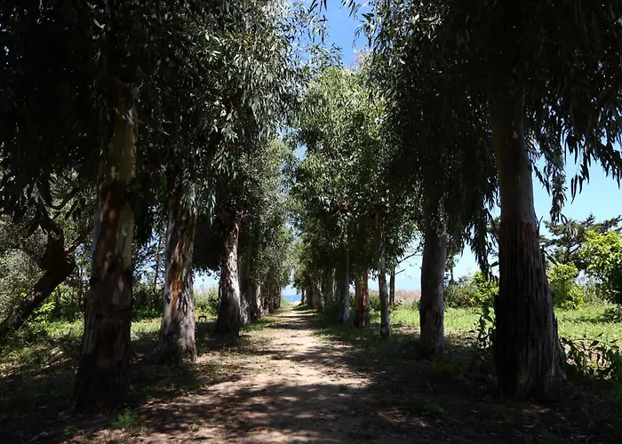 Apartament Verdemare Cefalù