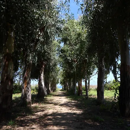 아파트 Verdemare 체팔루