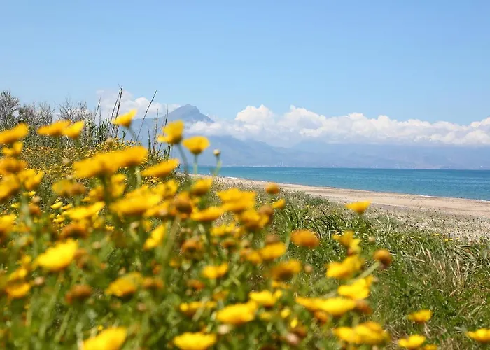 Διαμέρισμα Verdemare Cefalù