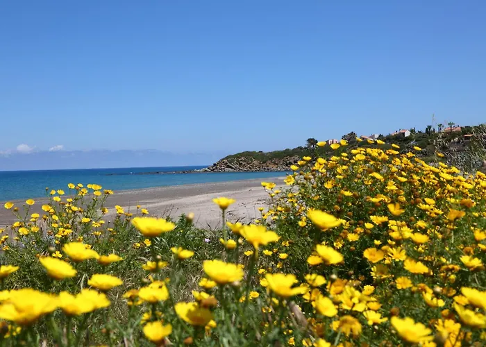 Verdemare Apartment *